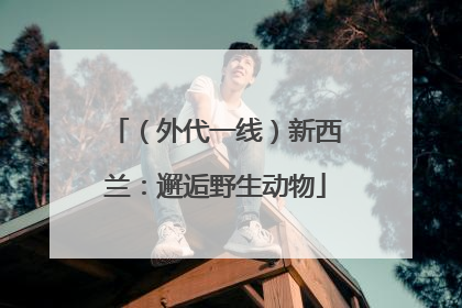 （外代一线）新西兰：邂逅野生动物
