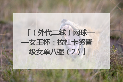 （外代二线）网球——女王杯：拉杜卡努晋级女单八强（2）