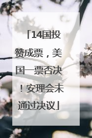 14国投赞成票，美国一票否决！安理会未通过决议