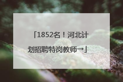 1852名！河北计划招聘特岗教师→