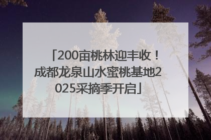 200亩桃林迎丰收！成都龙泉山水蜜桃基地2025采摘季开启