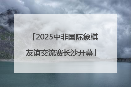 2025中非国际象棋友谊交流赛长沙开幕