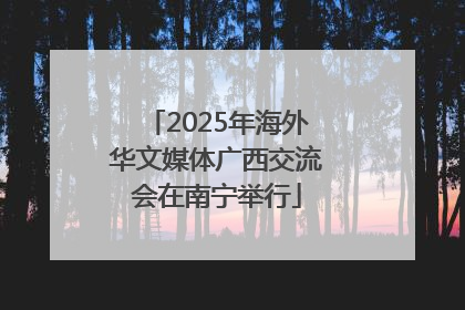 2025年海外华文媒体广西交流会在南宁举行