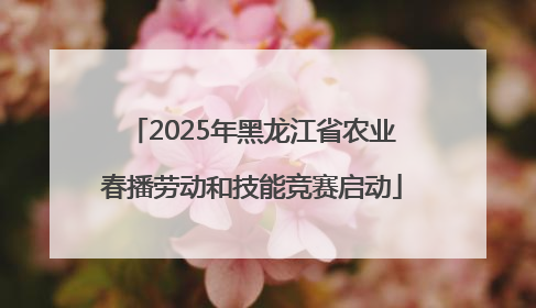 2025年黑龙江省农业春播劳动和技能竞赛启动