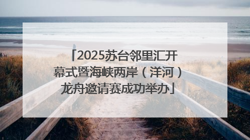 2025苏台邻里汇开幕式暨海峡两岸（洋河）龙舟邀请赛成功举办
