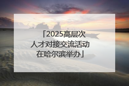 2025高层次人才对接交流活动在哈尔滨举办