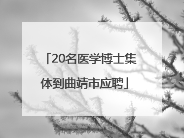20名医学博士集体到曲靖市应聘