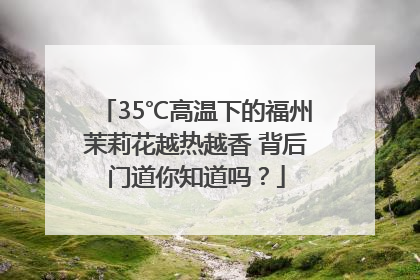 35℃高温下的福州茉莉花越热越香 背后门道你知道吗？