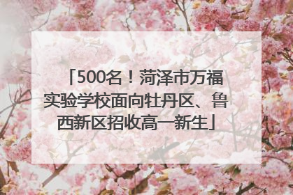 500名！菏泽市万福实验学校面向牡丹区、鲁西新区招收高一新生