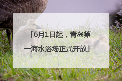 6月1日起，青岛第一海水浴场正式开放