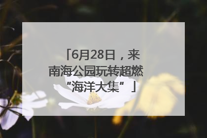 6月28日，来南海公园玩转超燃 “海洋大集”