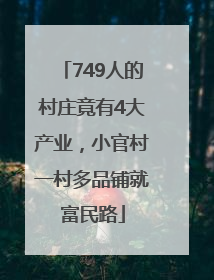 749人的村庄竟有4大产业，小官村一村多品铺就富民路