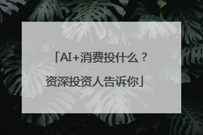 AI+消费投什么？资深投资人告诉你