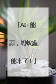 AI+能源，蚂蚁鑫能来了！