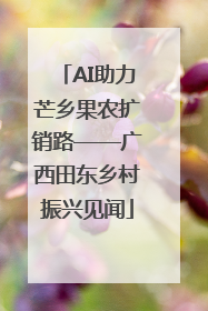 AI助力芒乡果农扩销路——广西田东乡村振兴见闻