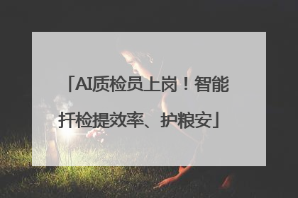 AI质检员上岗！智能扦检提效率、护粮安
