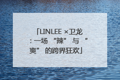 LINLEE ×卫龙：一场 “辣” 与 “爽” 的跨界狂欢