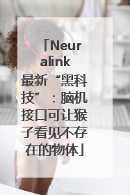 Neuralink最新“黑科技”：脑机接口可让猴子看见不存在的物体