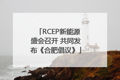RCEP新能源盛会召开 共同发布《合肥倡议》