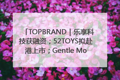 TOPBRAND｜乐享科技获融资；52TOYS拟赴港上市；Gentle Monster合作谷歌；Valentino传播官离职